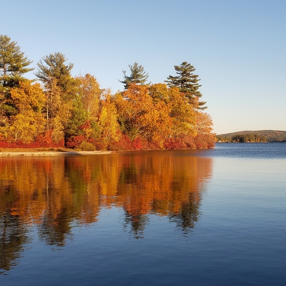 🍂Fall at the feet of Beauty - Picture 4 of 12
